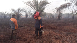 Tim Gabungan Padamkan Kebakaran Lahan di Kotawaringin Barat